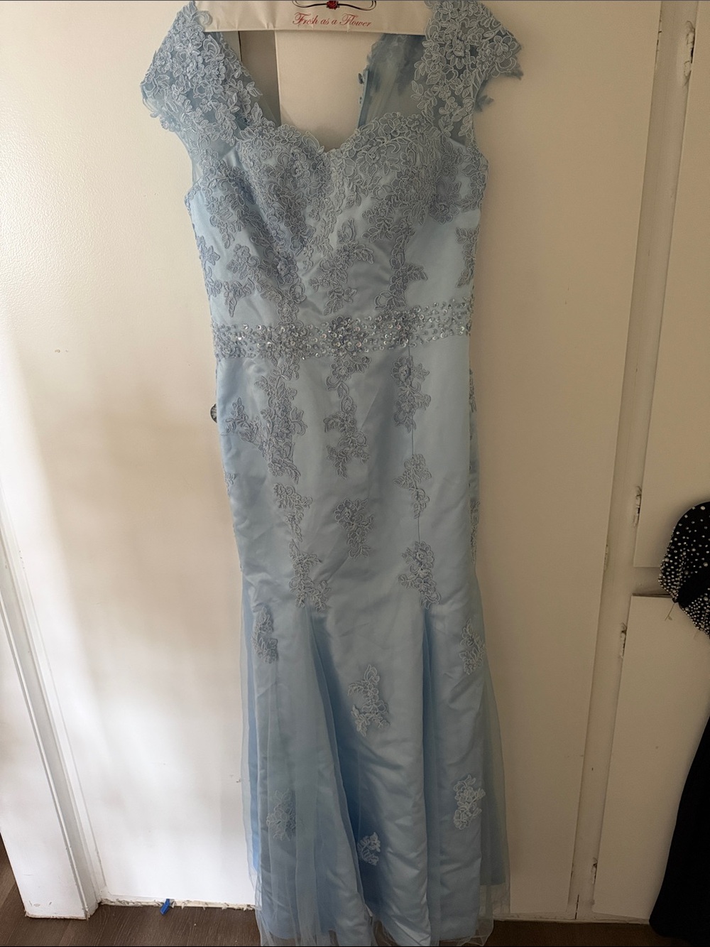 Light Blue Lace Embellished Evening Gown